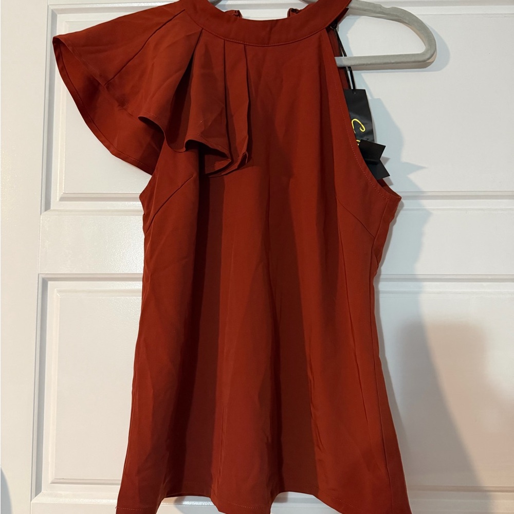 Elegant Rust Orange Women's blouse